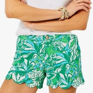 NWT Lilly Pulitzer Buttercup knit shorts in Botanical Green Safari Sangria
